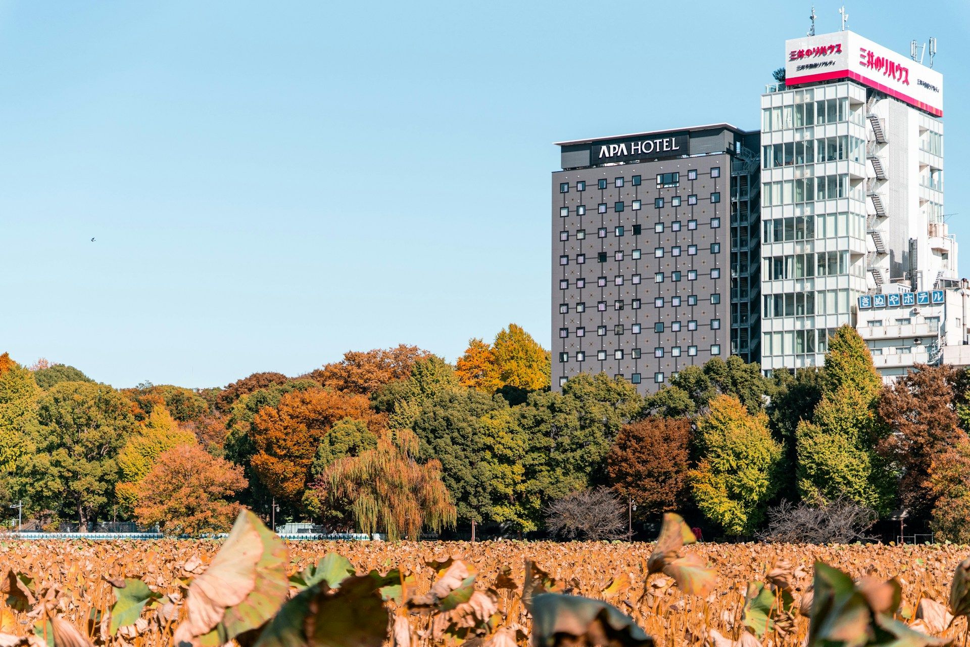 APA Hotel Japan