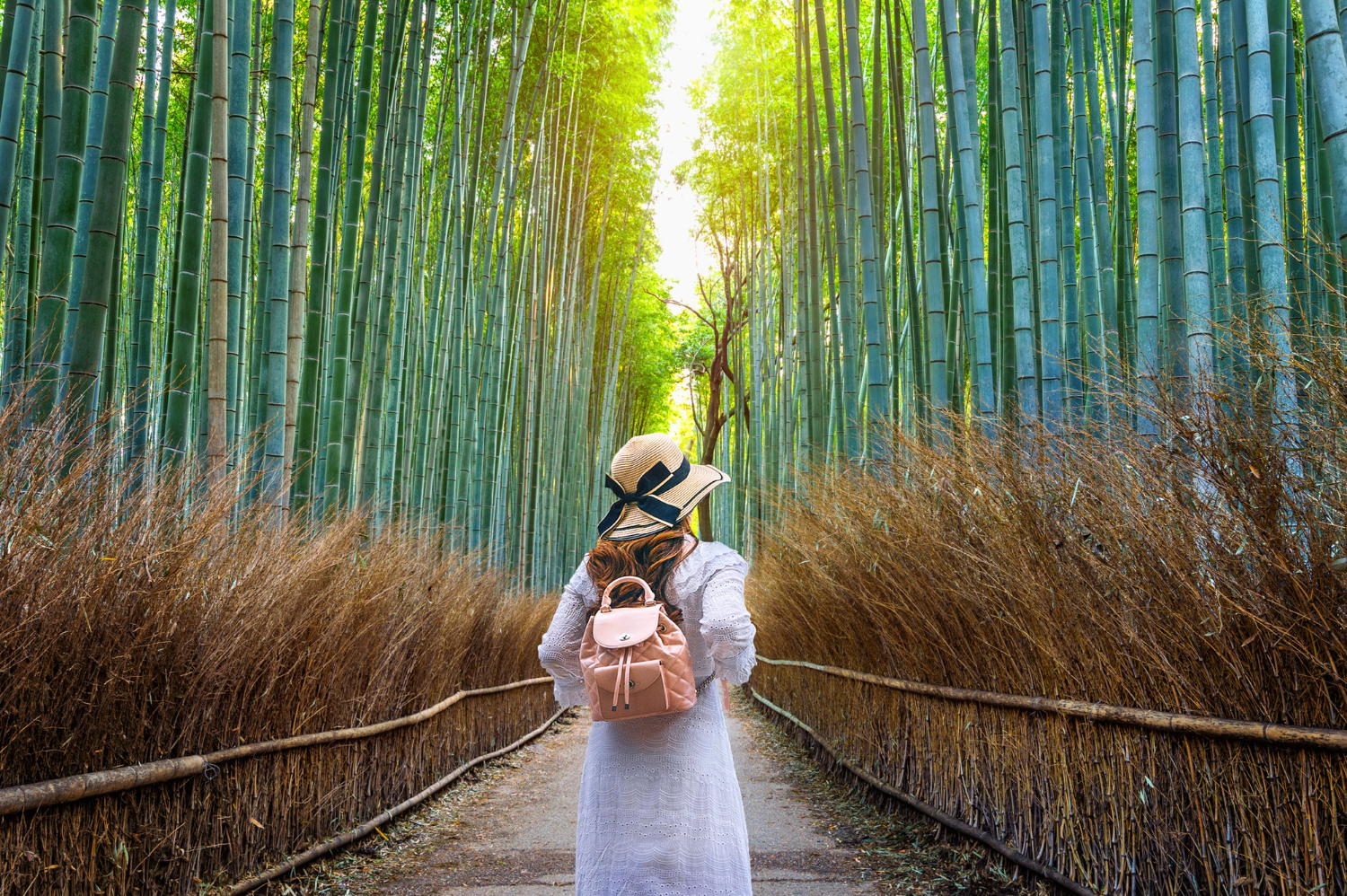 Arashiyama bambulund i Kyoto