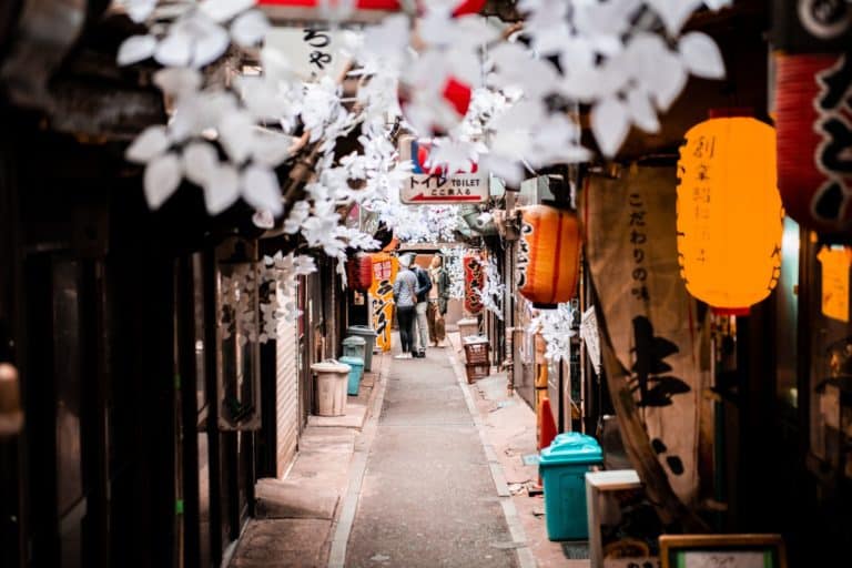 Dag 1: Ankomst till Tokyo