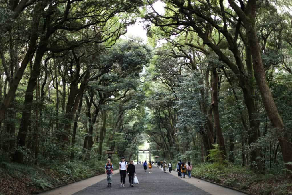Dag 4: Harajuku och Shibuya