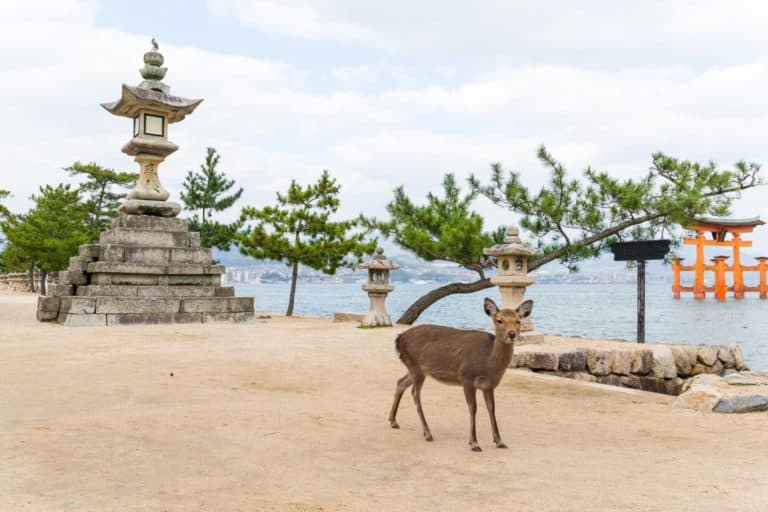 Dag 4: Miyajima-ön