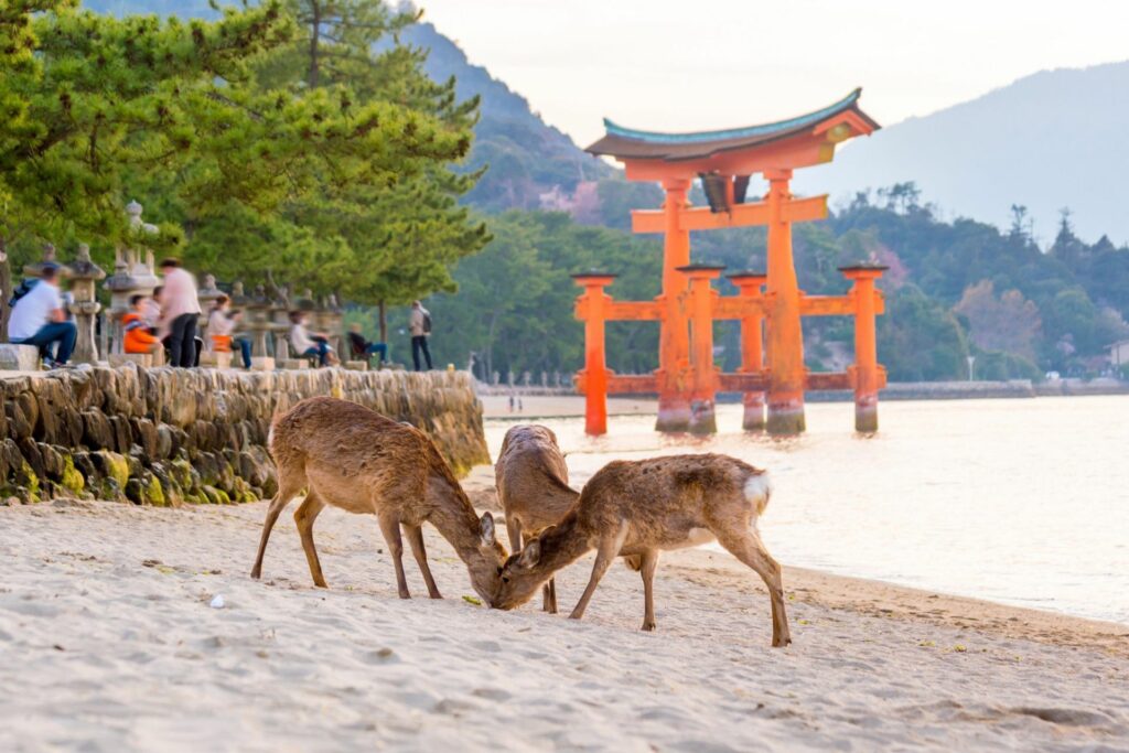 Ön Miyajima