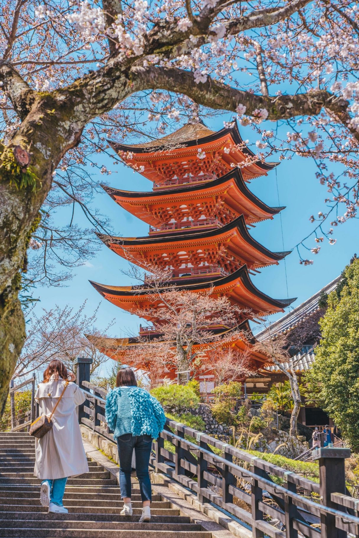 Miyajima fempagod med körsbärsblom