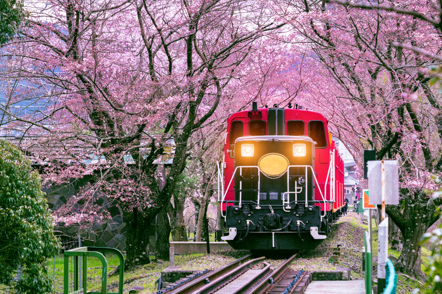 Sagano Romantic Train