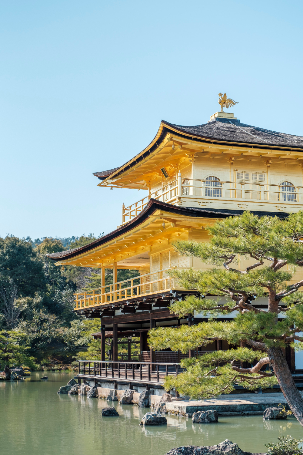 Kinkaku-ji närbild