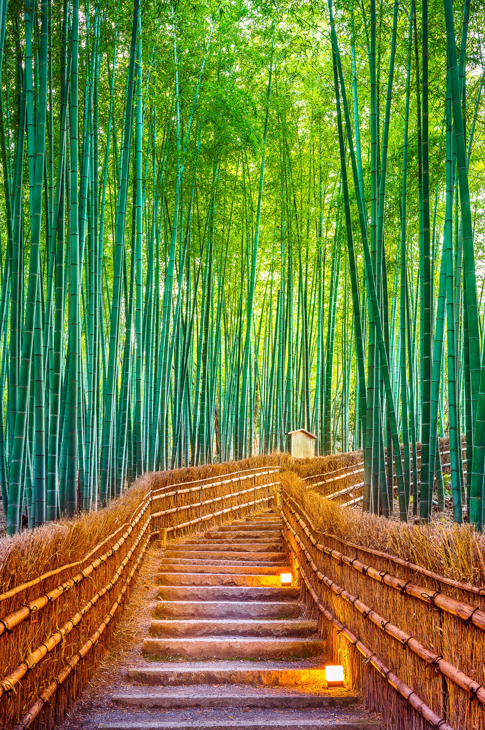 Tips för att besöka Arashiyama