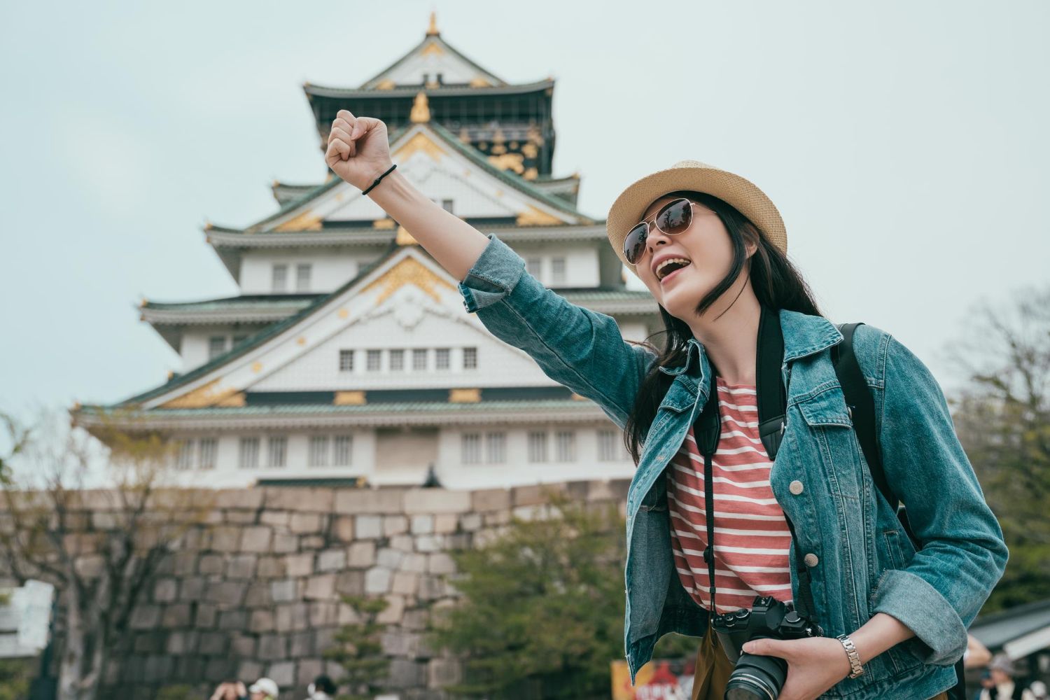 Visit Japan Web-registrering