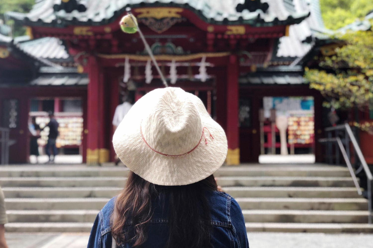 Tokyo, Kyoto och Osaka - 7 dagars resplan