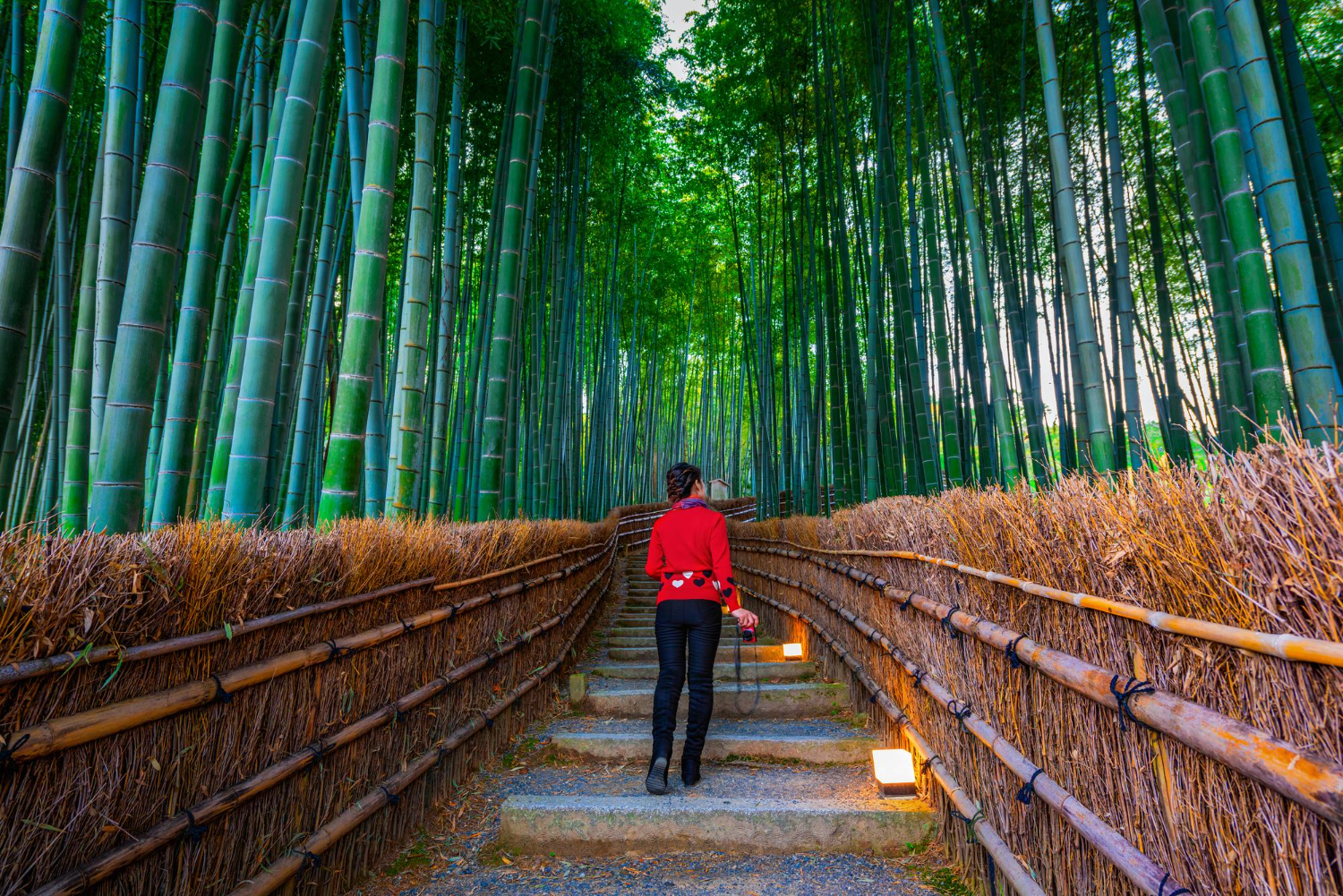 Kyoto stadsbild