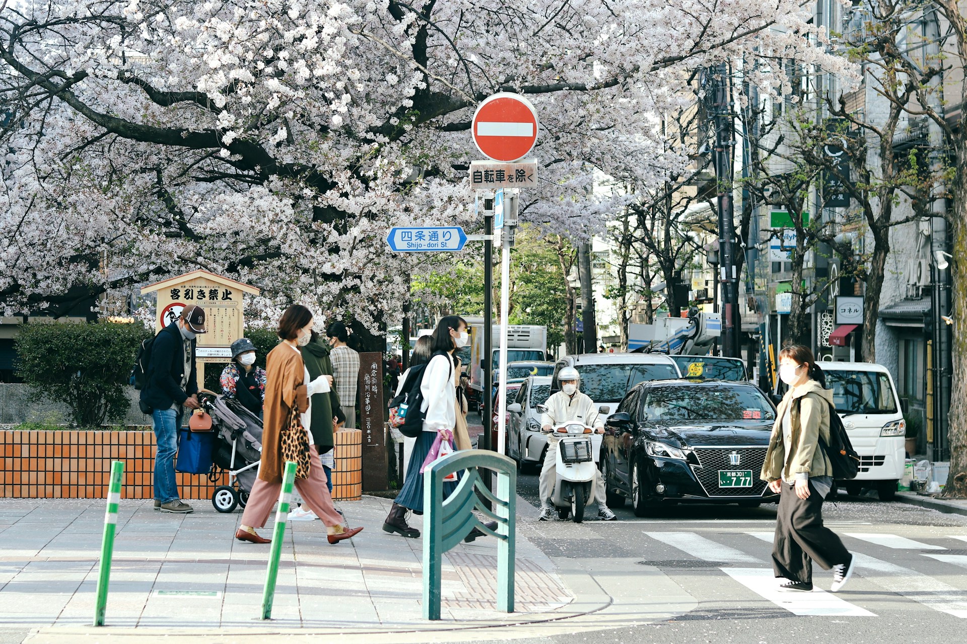 Vår i Sendai