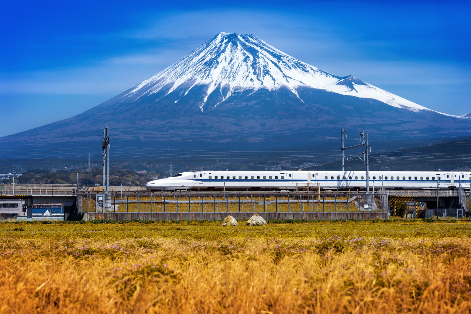 Japan Shinkansen snabbtåg som täcks av JR Pass