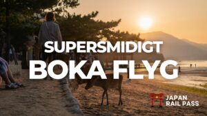 supersmidigt flyg boka